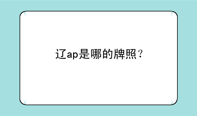 辽ap是哪的牌照？