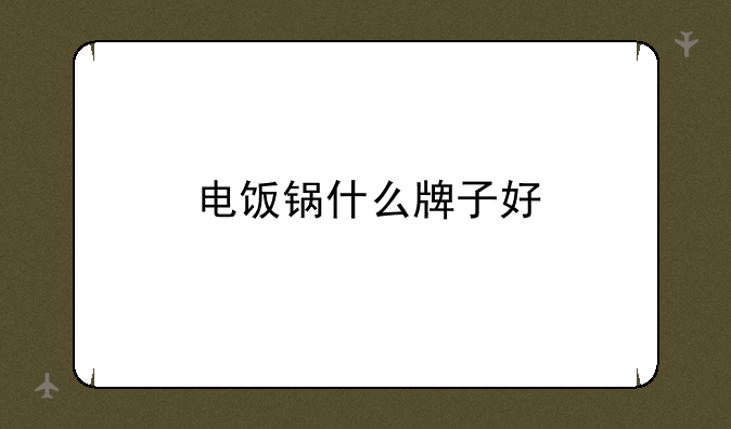 电饭锅什么牌子好