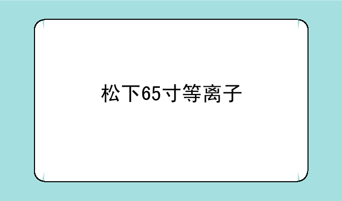 松下65寸等离子