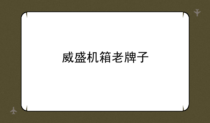 威盛机箱老牌子