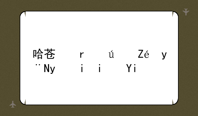 哈苏最便宜的相机是多少的？