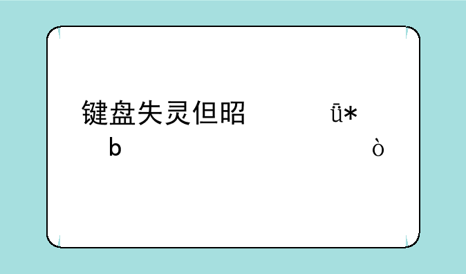 键盘失灵但是驱动显示正常？