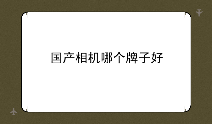 国产相机哪个牌子好