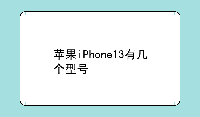 苹果iPhone13有几个型号