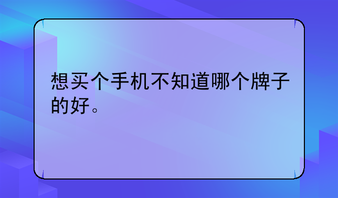 想买个手机不知道哪个牌子的好。