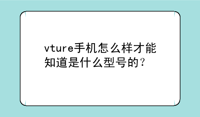 vture手机怎么样才能知道是什么型号的？