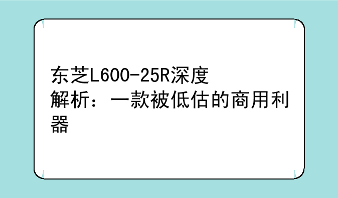 东芝L600-25R深度解析：一款被低估的商用利器