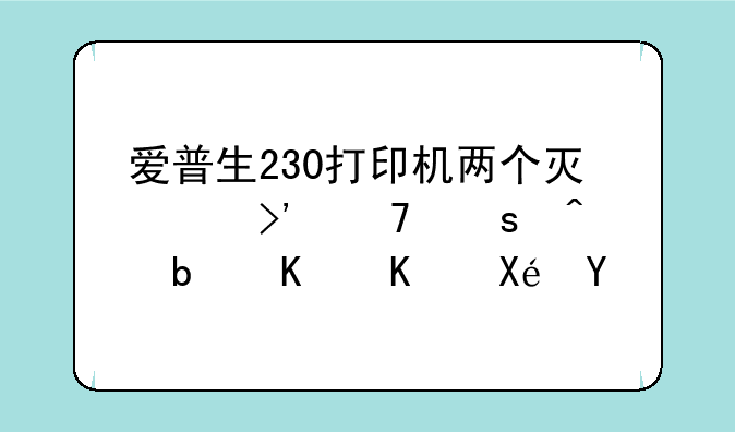爱普生230打印机两个灯交叉不停闪是什么原因