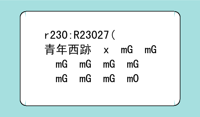 r230:R23027(青年西路北、战胜路西)地块建设项目