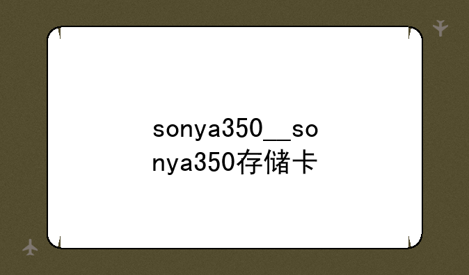 sonya350__sonya350存储卡