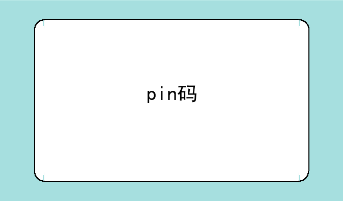 pin码
