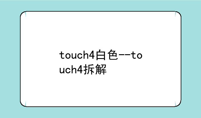 touch4白色--touch4拆解