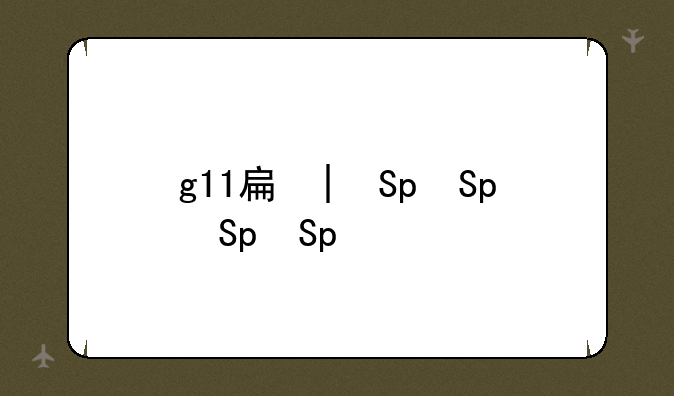 g11手机