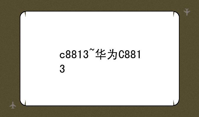c8813~华为C8813