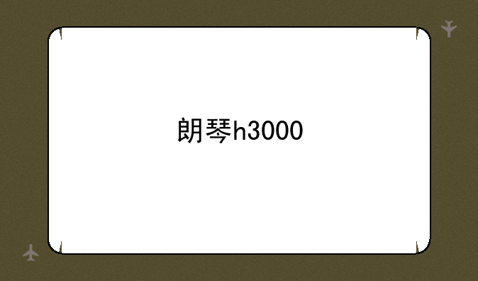 朗琴h3000