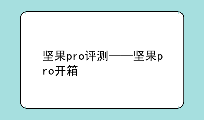 坚果pro评测——坚果pro开箱
