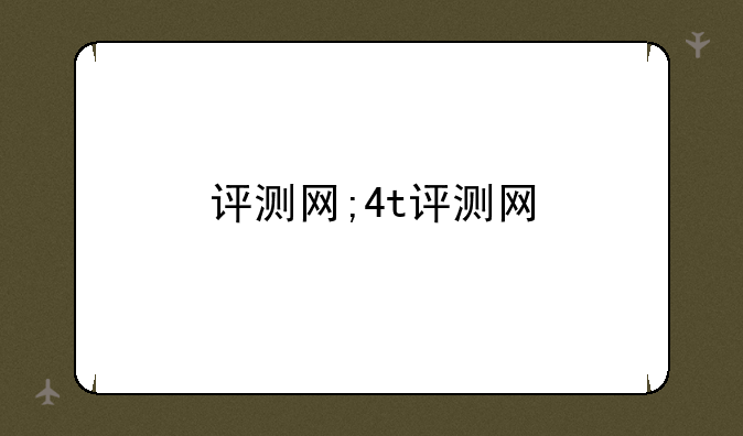评测网;4t评测网