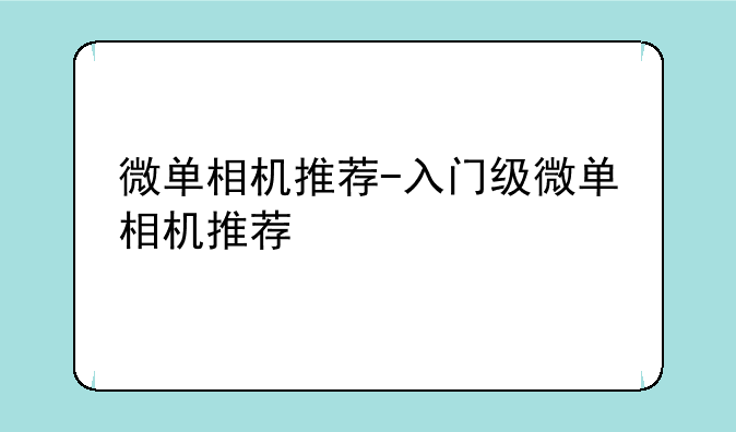 微单相机推荐-入门级微单相机推荐