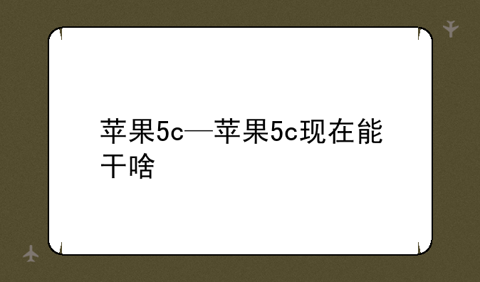 苹果5c—苹果5c现在能干啥