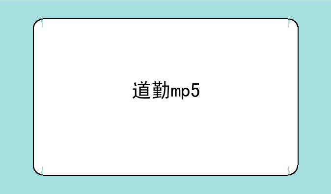 道勤mp5