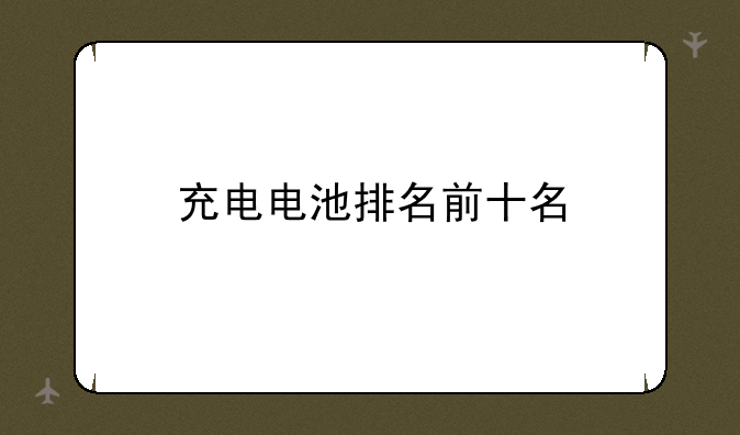 充电电池排名前十名